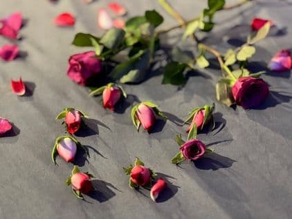 Chambre LOVE — Photo 8 — La Parenthèse