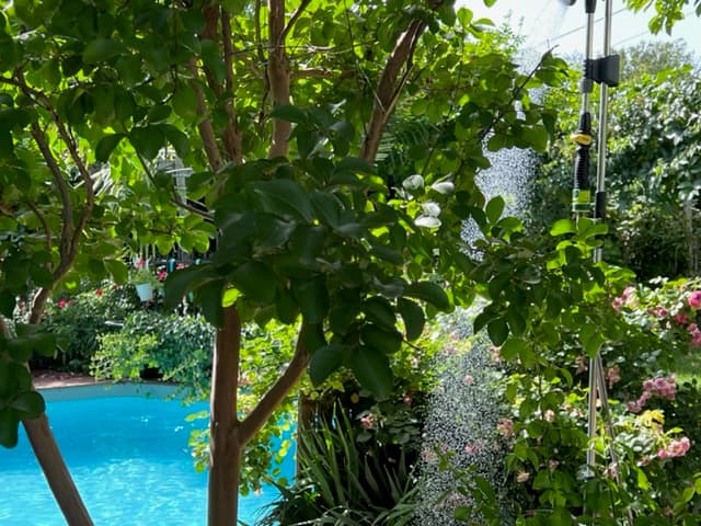 Chambre POOL SPA — Photo 3 — La Parenthèse